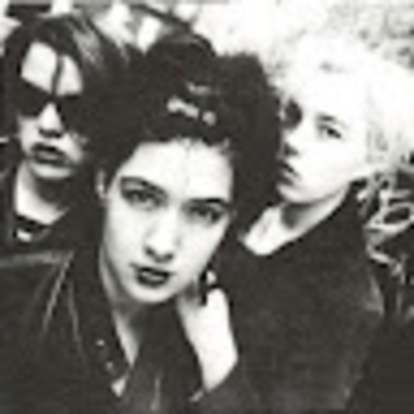 Meet your Posher, Arlo - Picture 1 of 1